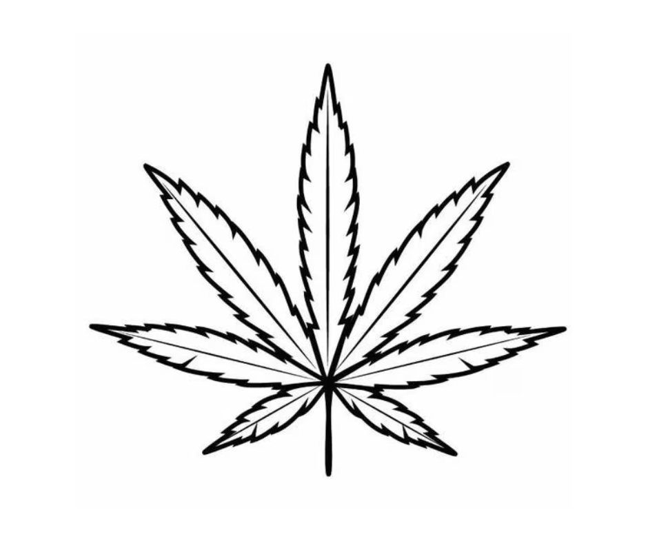 That's My High